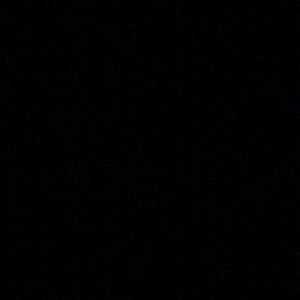 Meet your Posher, Lulu